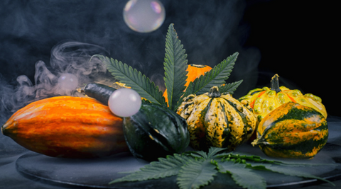 Thanksgiving and Weed: A Hilarious Pairing