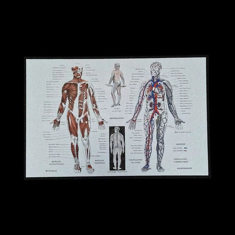 Human Anatomy Mood Mat