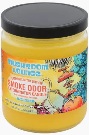 Smoke Odor Candle